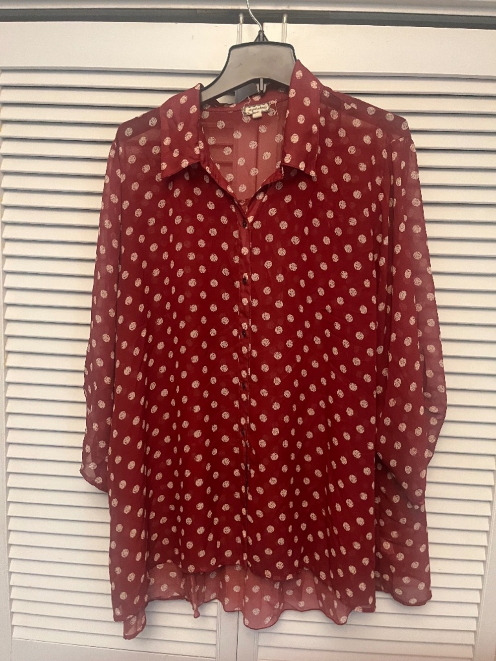 Eyeshadow See thru Button up Blouse